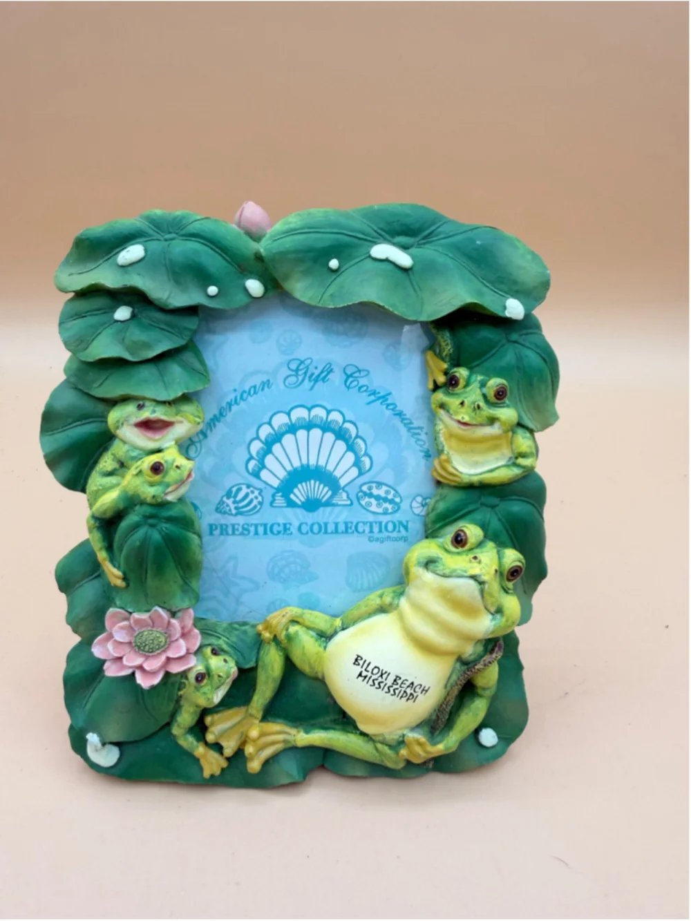 American Gift Corp Prestige Collection Biloxi Beach Frog Lily Pad Photo Frame